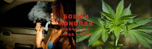 гидропоника Сатка