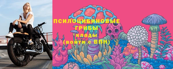 мдпв Верхний Тагил